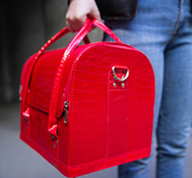 Сумка мастера маникюра 2