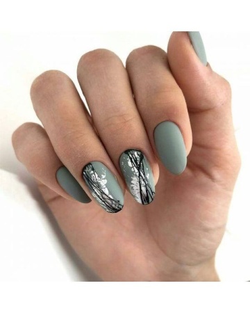 Гель-лак Holy Rose (Холи Роуз) Beauty № 204, 10 мл.