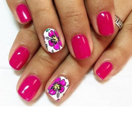 Гель-лак Elpaza (Эльпаза) Charm 120, 10 мл