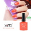 Гель-лак Canni (Канни) № 177 7,3 мл
