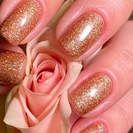 Гель-лак Holy Rose (Холи Роуз) Beauty № 242, 10 мл. Гель-лак Holy Rose (Холи Роуз) Beauty № 242, 10 мл.