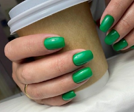 Гель-лак Dona Jerdona (Дона Жердона) 133 Изумрудно-зеленый, 10 мл Гель-лак Dona Jerdona (Дона Жердона) 133 Изумрудно-зеленый, 10 мл