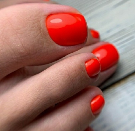 Гель-лак Holy Rose (Холи Роуз) Beauty № 061, 10 мл.