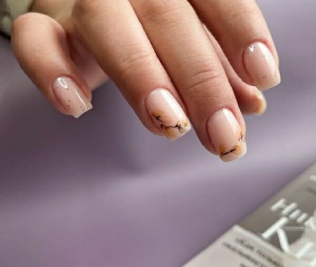 Гель-лак Holy Rose (Холи Роуз) Beauty № 068, 10 мл.