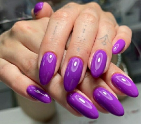 Гель-лак Holy Rose (Холи Роуз) Beauty № 149, 10 мл.