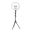 Напольная кольцевая лампа для селфи с 3 держателя для смартфона RL21-20x6 148