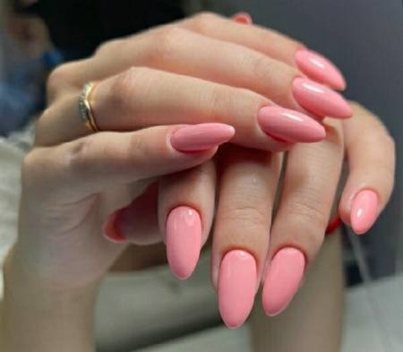 Гель-лак Holy Rose (Холи Роуз) Beauty № 016, 10 мл.