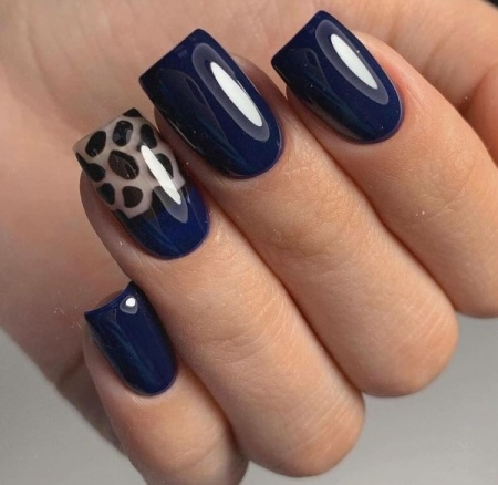 Гель-лак Holy Rose (Холи Роуз) Beauty № 178, 10 мл.