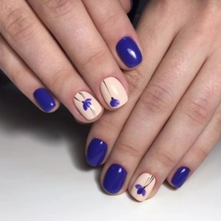 Гель-лак Elpaza (Эльпаза) Charm 009, 10 мл